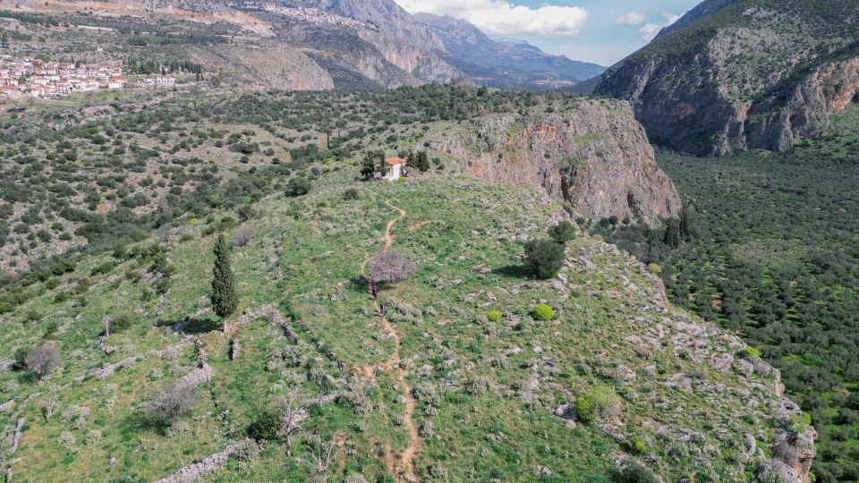 Delphi: Easy Hike on Ancient Path Through the Olive Groves - Activity Details