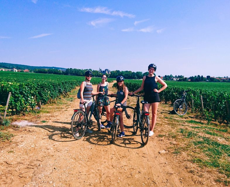 Dijon: Bike Tour and Tastings in the Vineyards of Burgundy - Tour Highlights
