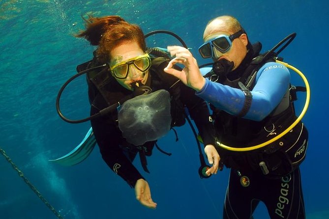 Discover Scuba - Pricing and Booking Details
