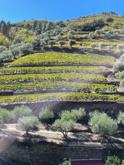 DOURO: TOUR FD DOURO VINEYARD MERCEDES V EXT LONG - Location and Provider Details