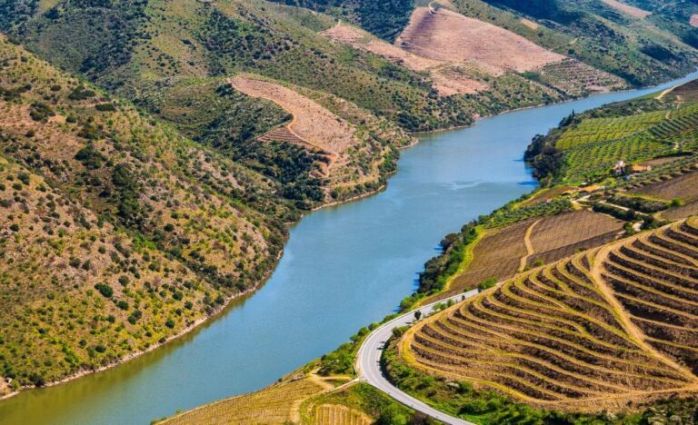 Douro: Wine Tasting and River Cruise Experience