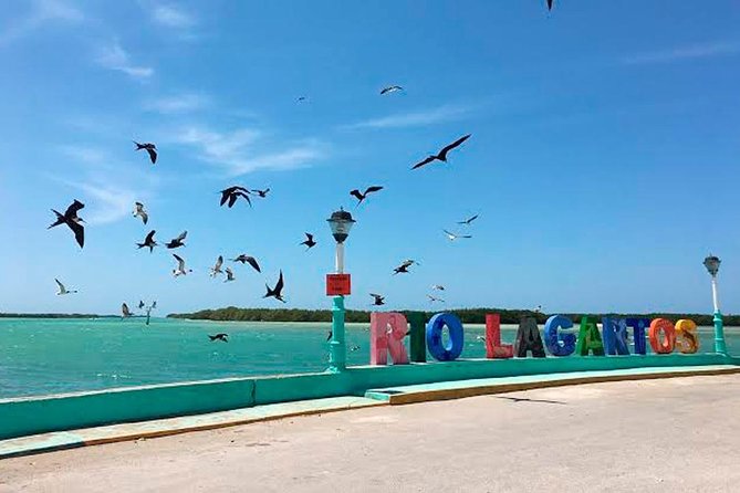 Excursion Las Coloradas & Rio Lagartos Only From Cancun - Tour Highlights