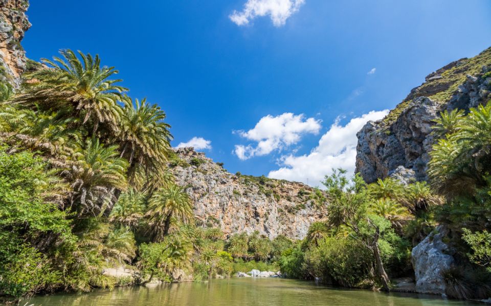 Explore Preveli Palms, Damnoni Beach & Historic Rethymno - Tour Details