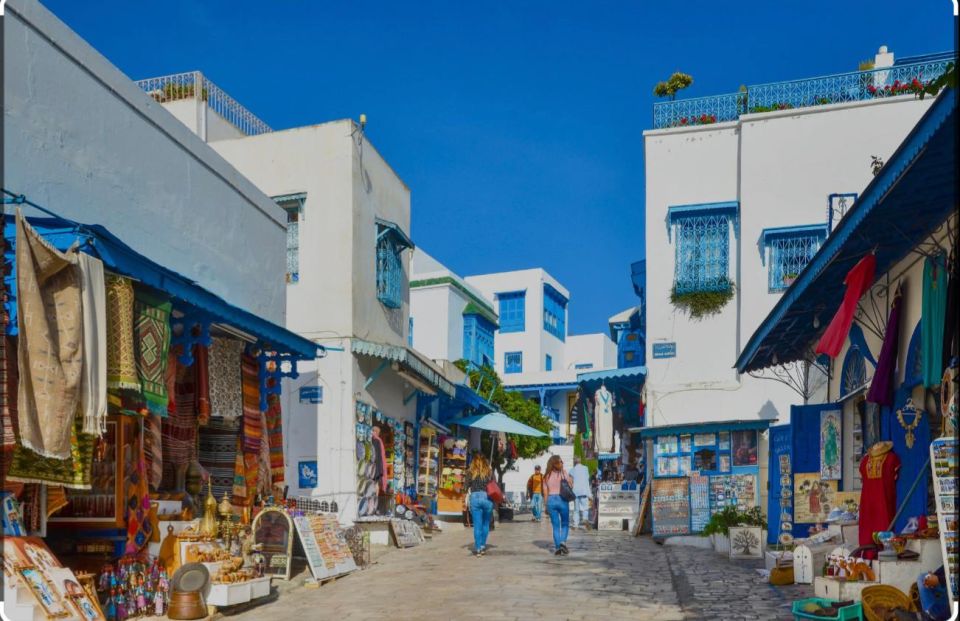 Explore the Essentials of Tunis in a Private Half Day 5 in 1 - Tour Details