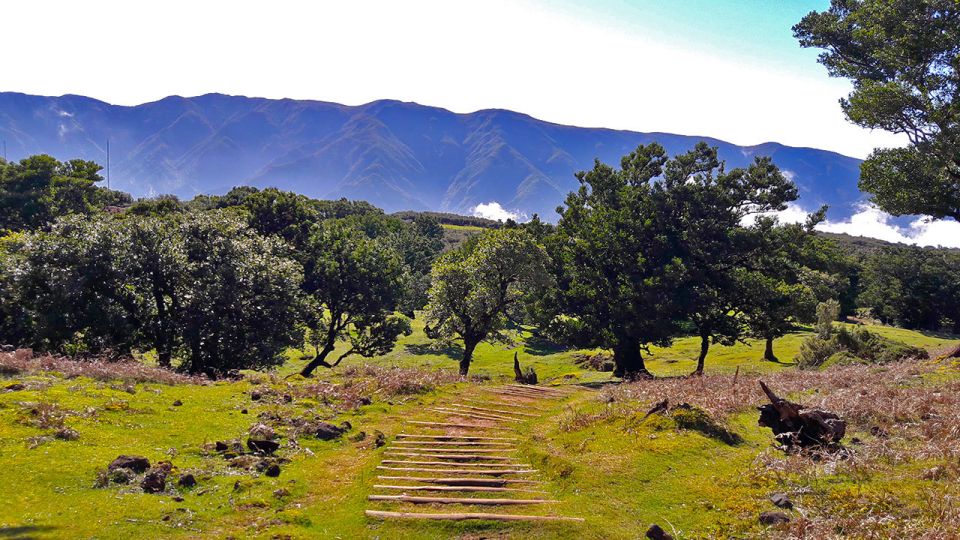 Fanal / Whistlers - Levada Walk - Location and Activity Details