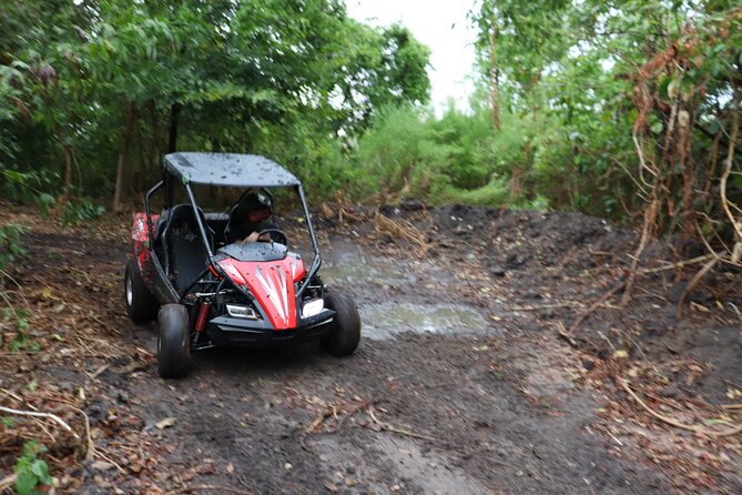 Fort Meade : Orlando : Dune Buggy Adventures - Experience Details