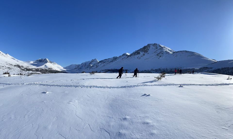 From Anchorage: Glen Alps Beginners Snowshoeing Adventure - Adventure Description