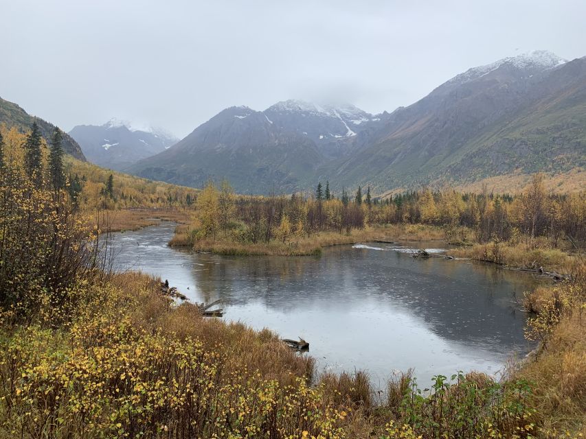 From Anchorage: Valley and Forest Hike With Naturalist Guide - Activity Details