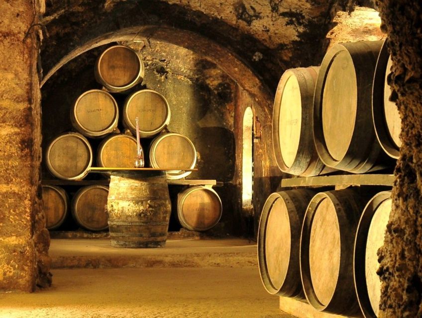 From Bilbao: Rioja Wine Region With Winery & Vitoria-Gasteiz - Tour Details