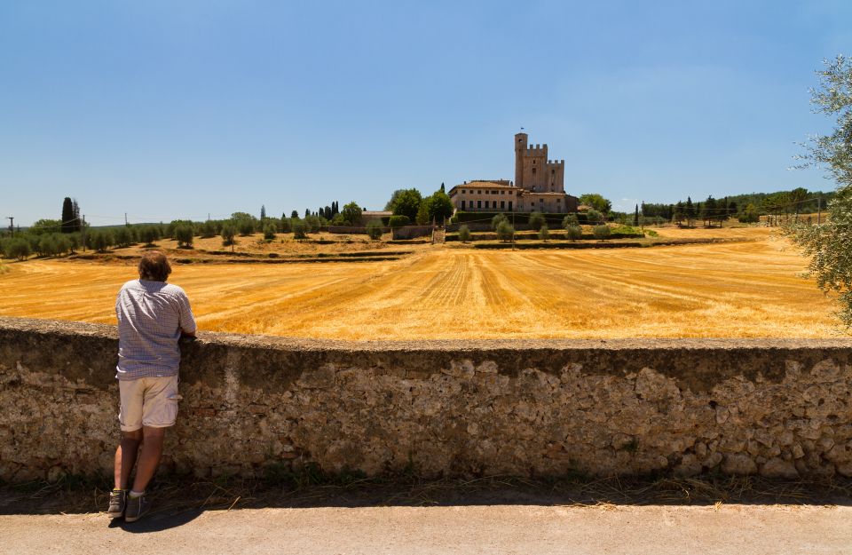 From Florence: Chianti Wine and Tuscan Countryside Tour - Pricing Details