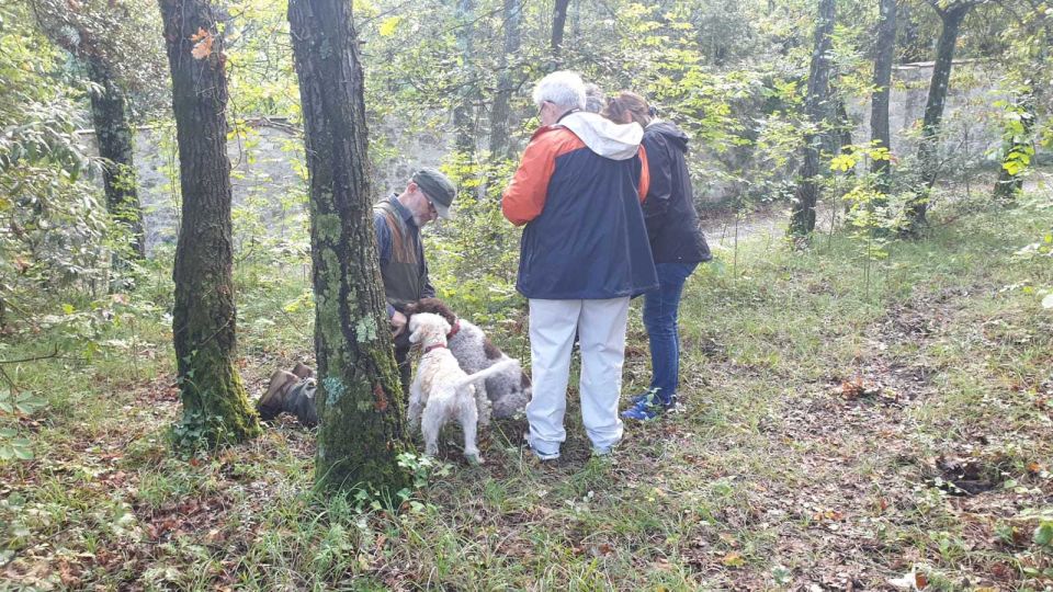 From Florence: Truffle Hunt and Lunch in the Countryside - Activity Overview