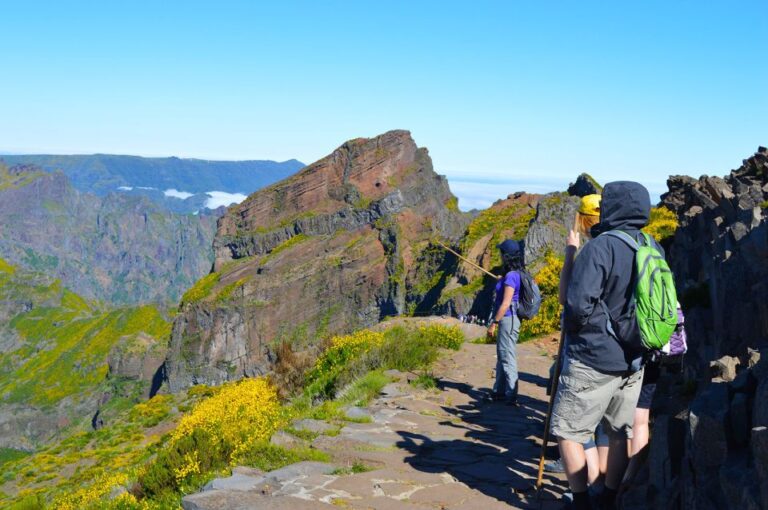 From Funchal: Madeira Peaks Mountain Walk