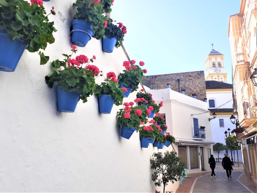 From Malaga: Private Tour in Marbella - Tour Details