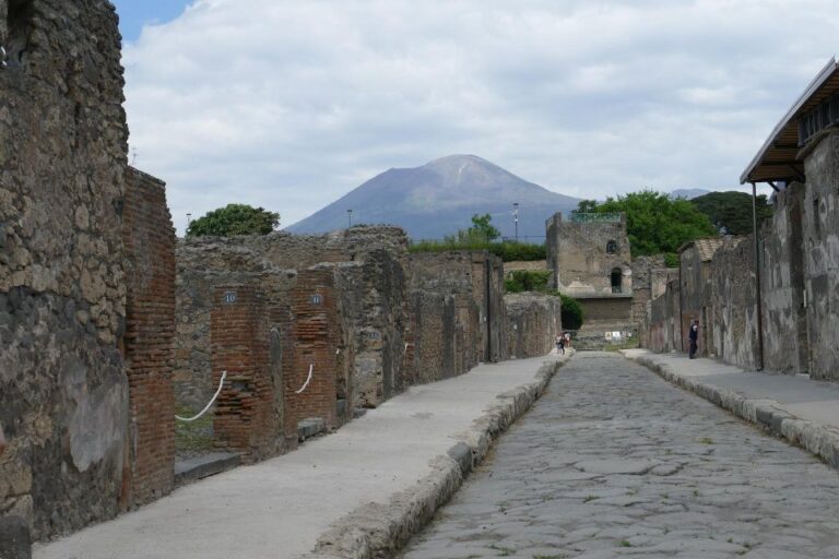 From Paestum:Pompeii Guided Tour With Wine Tasting and Lunch