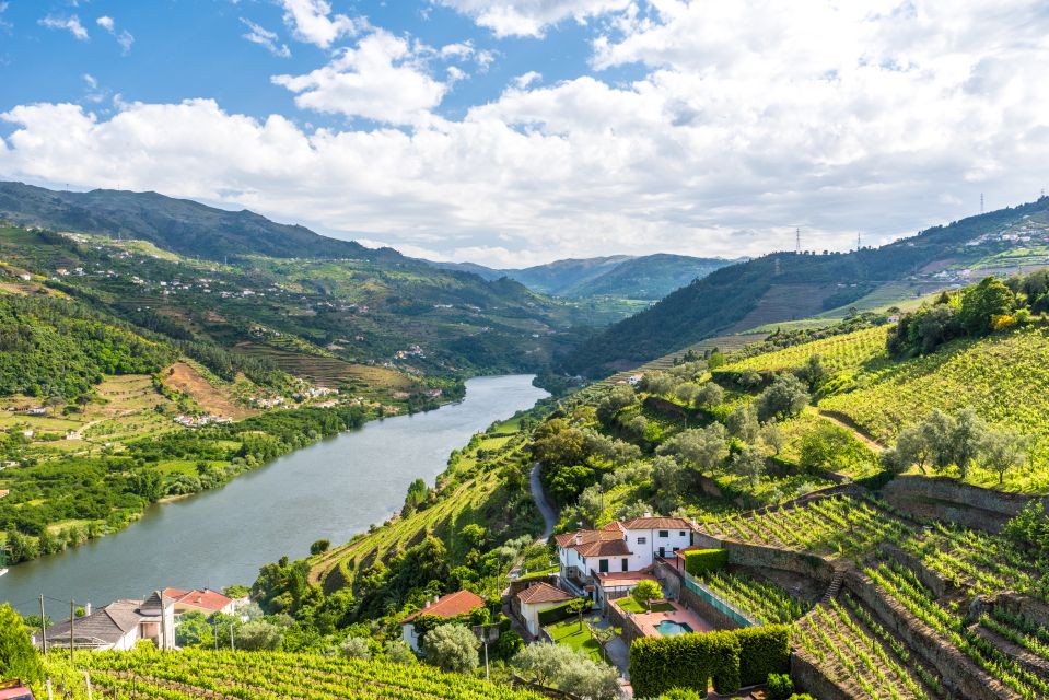 From Porto: Full-Day Douro Historical Tour - Itinerary Highlights