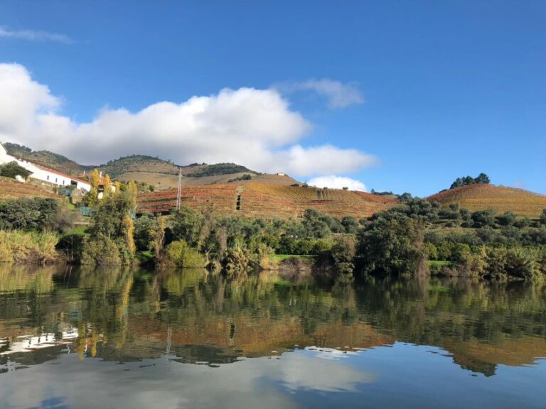 From Porto: Private Douro Valley Tour and Boat Cruise