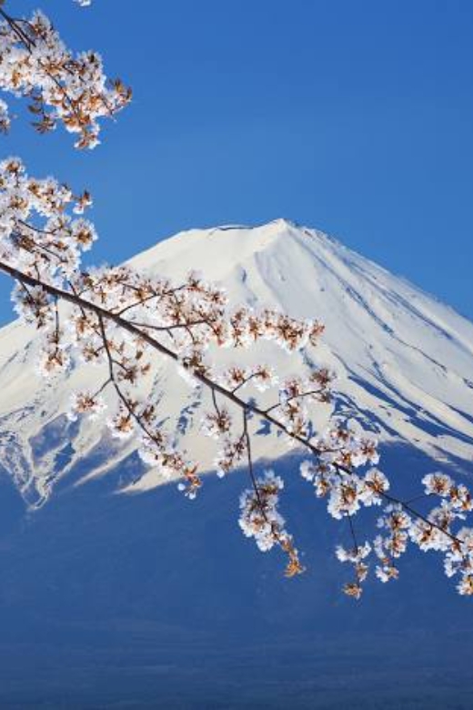 From Tokyo: Mount Fuji Full-Day Private Customized Tour