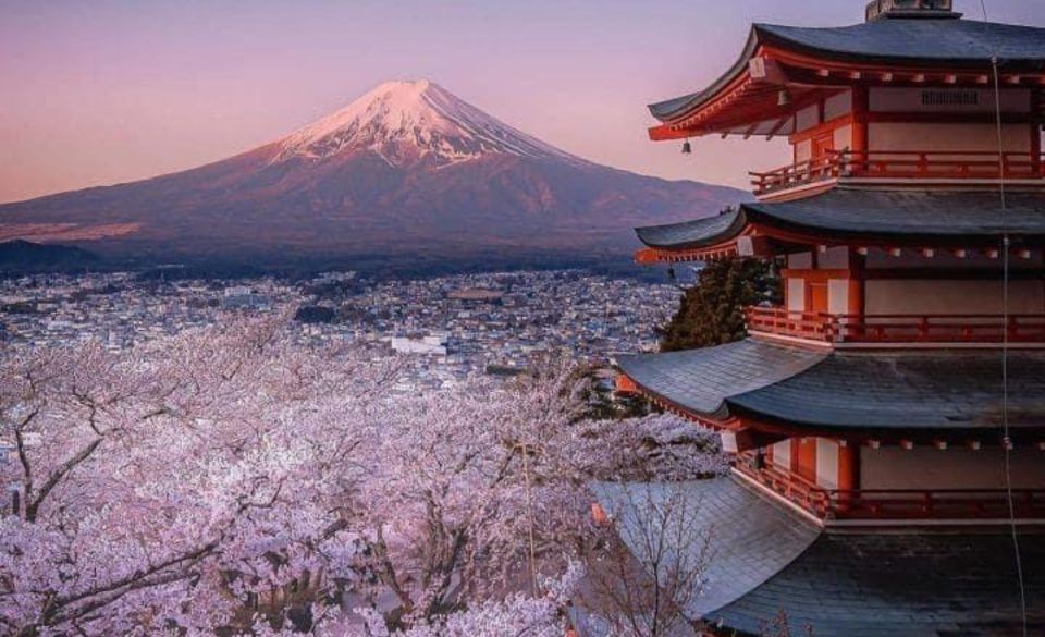 From Tokyo: MT Fuji Hakone Owakudani Valley Private Tour - Tour Details
