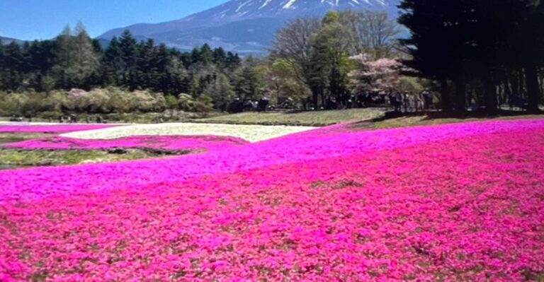 From Tokyo/Yokohama: Mount Fuji Private Tour With Pickup