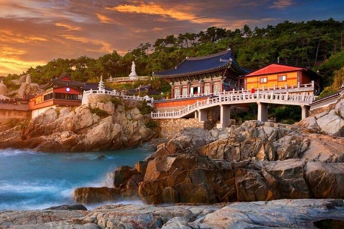 Full-Day Busan Highlights Private Guided Tour - Tour Highlights and Inclusions