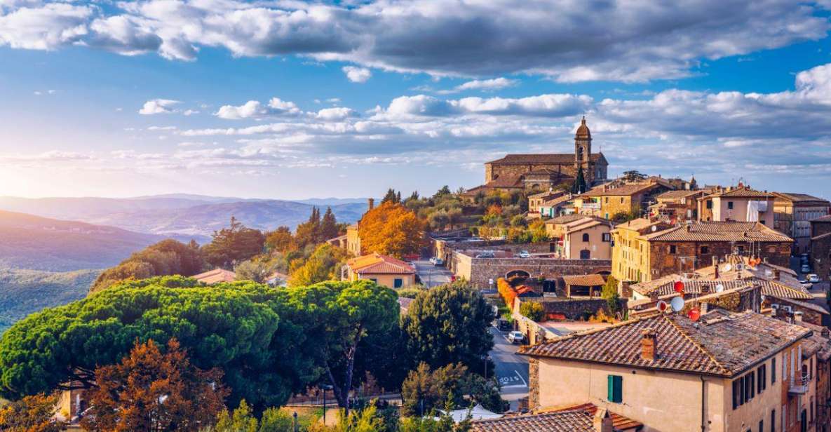 Full-Day Private Wine Tour in Montalcino - Tour Highlights