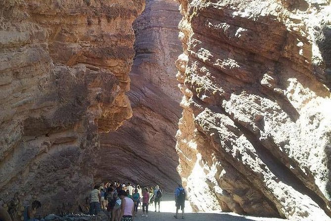 Full-Day Tour Cafayate Calchaqui Valleys With Wine - Landscapes and Wine Tasting