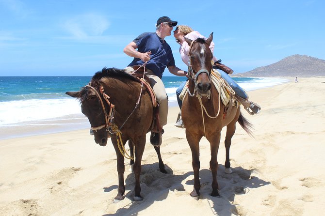 Guided Cabo Horseback Ride With Hotel Pickup  – Cabo San Lucas