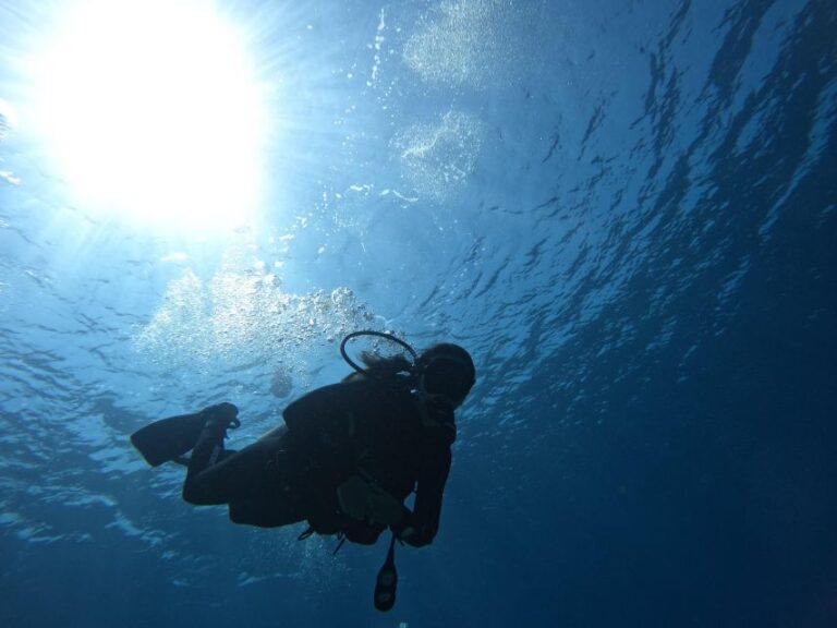 Heraklion: Scuba Diving Trip for Beginners