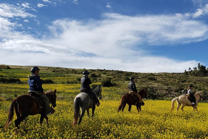 Horseback Riding in Cusco to the Temple of the Moon - Traveler Reviews and Recommendations