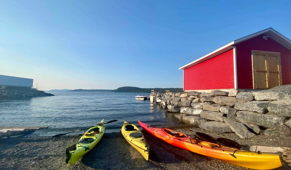 Humber Arm South: Bay of Islands Guided Kayaking Tour - Tour Details