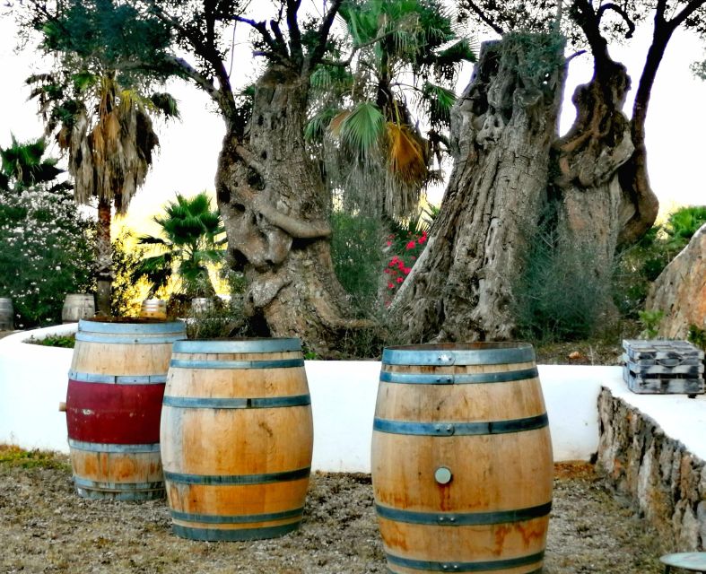 Ibiza Traditional Wine Tasting & Culture Tour - Tour Details