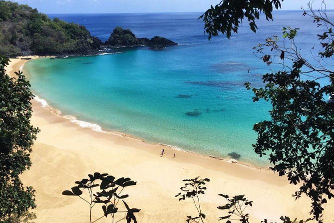 Island Tour in Fernando De Noronha - Admission and Traveler Limit