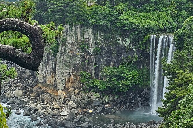 Jeju Private Tour Package-South of Jeju(Mt.Hallasan & Waterfalls) - Private Tour Inclusions and Exclusions
