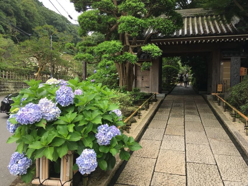 Kamakura: Private History and Heritage Tour by Rickshaw - Tour Details