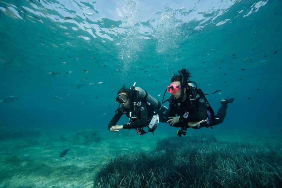 Kefalonia: Beginner Scuba Diving at Agia Efimia Village - Pricing and Duration