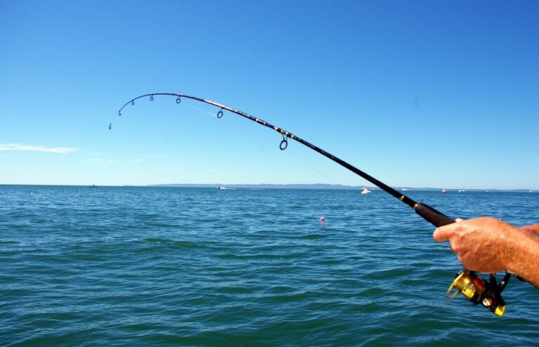 Kos: Fishing Trip Experience With a Greek Fishermans Family