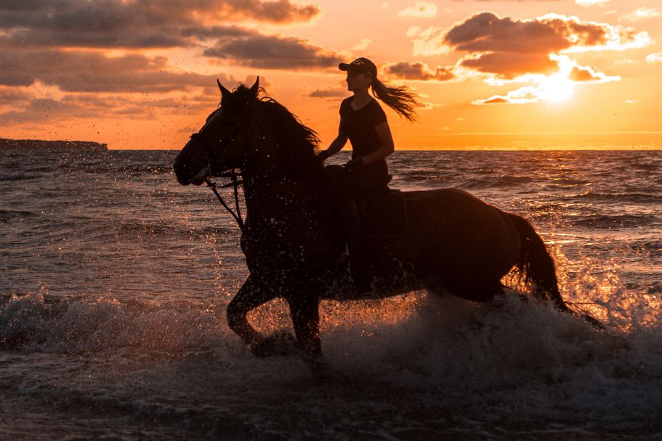 Kos: Horse Riding Experience on the Beach With Instructor - Activity Overview