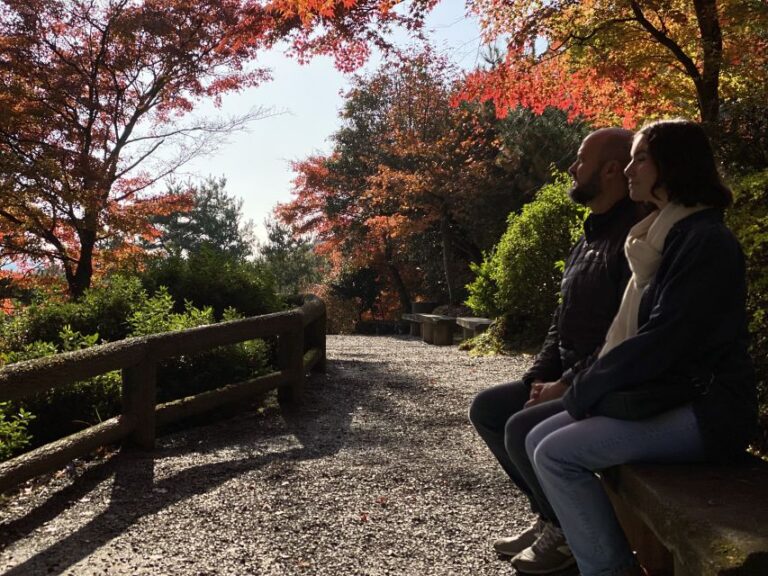 Kyoto: Arashiyama Bamboo Forest Morning Tour by Bike