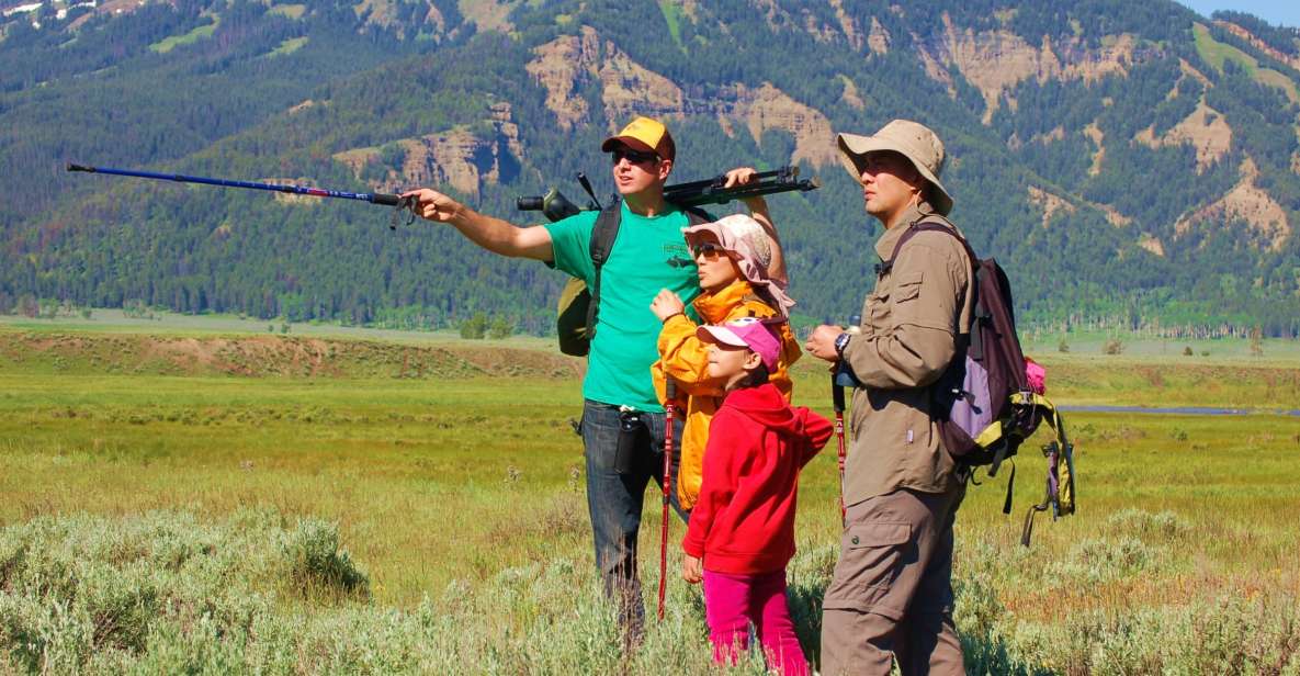Lamar Valley: Safari Hiking Tour With Lunch - Activity Details