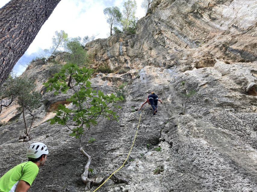 Mallorca: Sport Climbing Day or Course - Activity Details