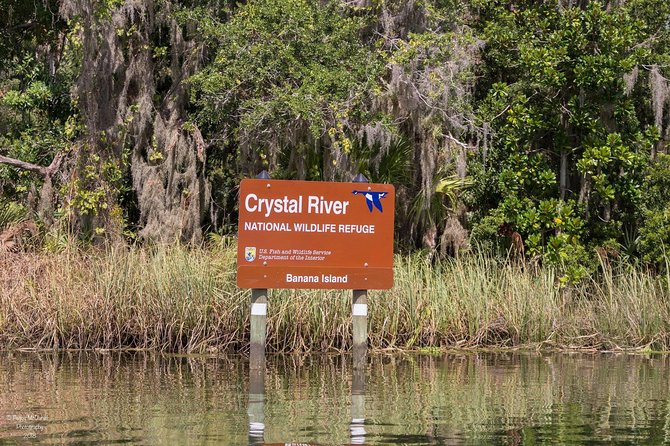 Manatee Snorkeling Crystal River Florida Semi-Private