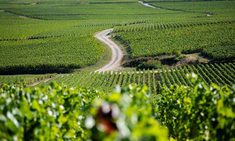 Marne: 2-Day Champagne Tour With Tastings and Lunches - Tour Duration and Flexibility