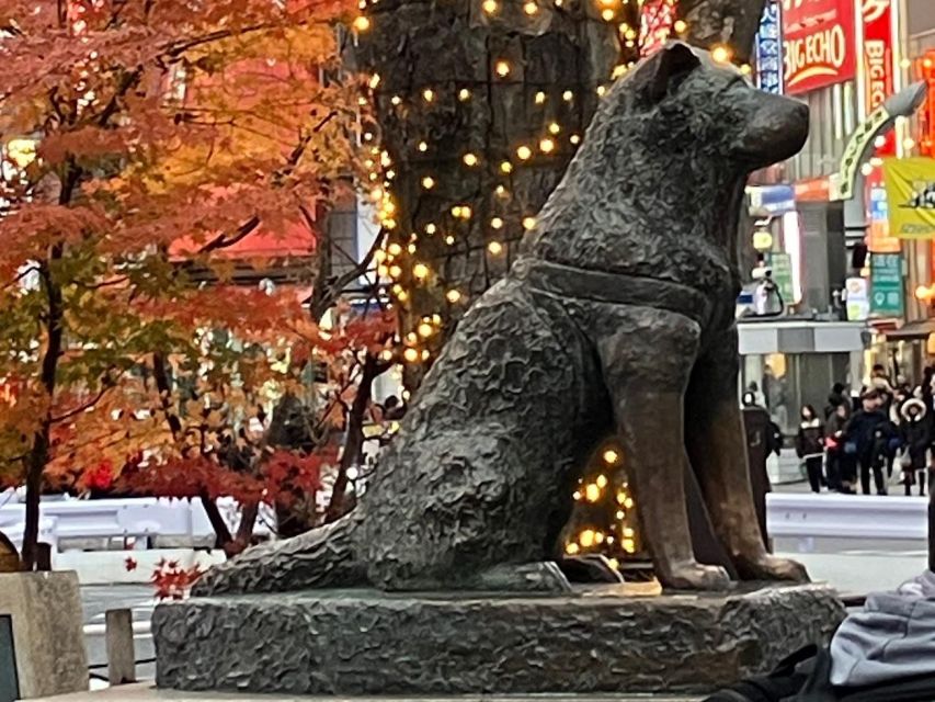 Meiji Shrine and Shibuya Crossing:Tour With a Licensed Guide - Tour Details