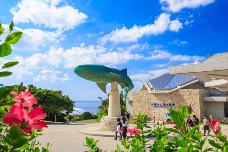 Motobu: Okinawa Churaumi Aquarium Entry Ticket