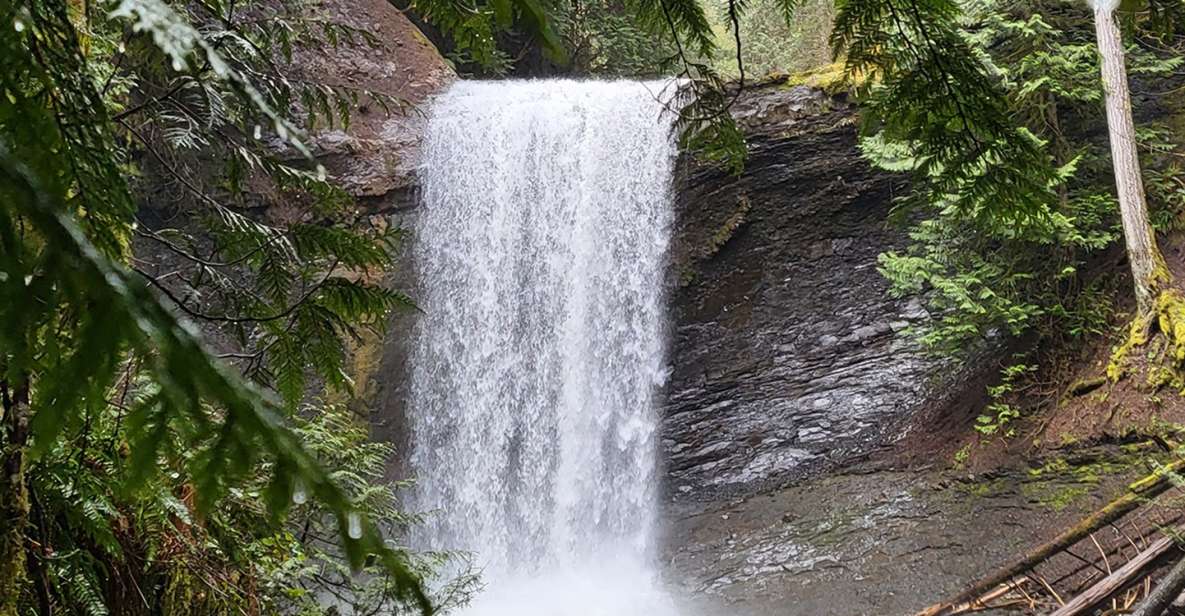 Nanaimo: Vancouver Island Waterfalls, Vistas, Hikes & Caves - Tour Overview