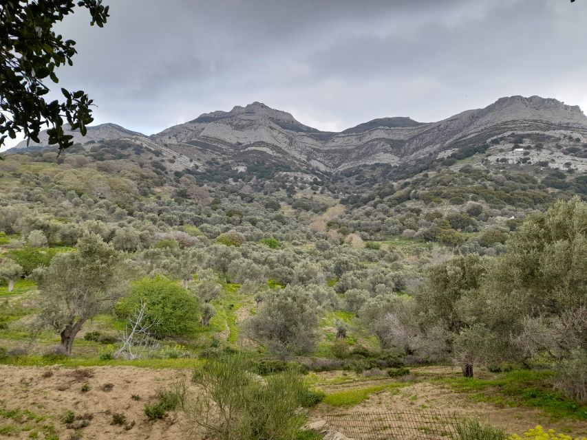 Naxos: Countryside Hike Among Villages & Byzantine Churches - Activity Details