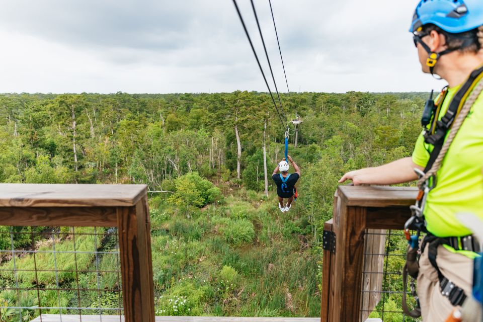 New Orleans: Swamp Zipline Tour - Tour Experience