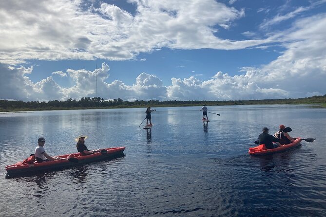 New Smyrna Dolphin and Manatee Kayak and SUP Adventure Tour - Tour Details