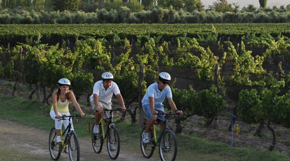 Niagara-On-The-Lake: Bicycle Tour With Wine Tasting - Tour Overview