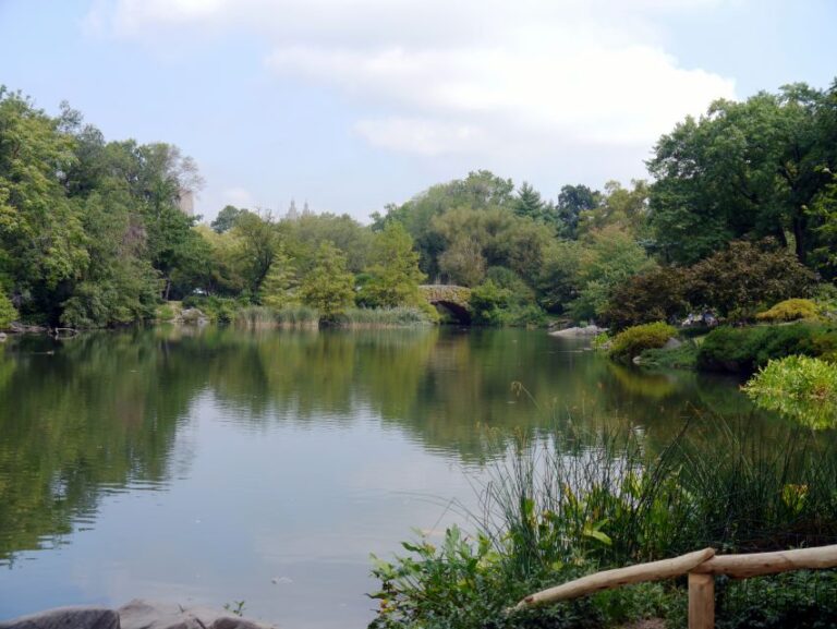 NYC: Central Park Guided Adventure Tour